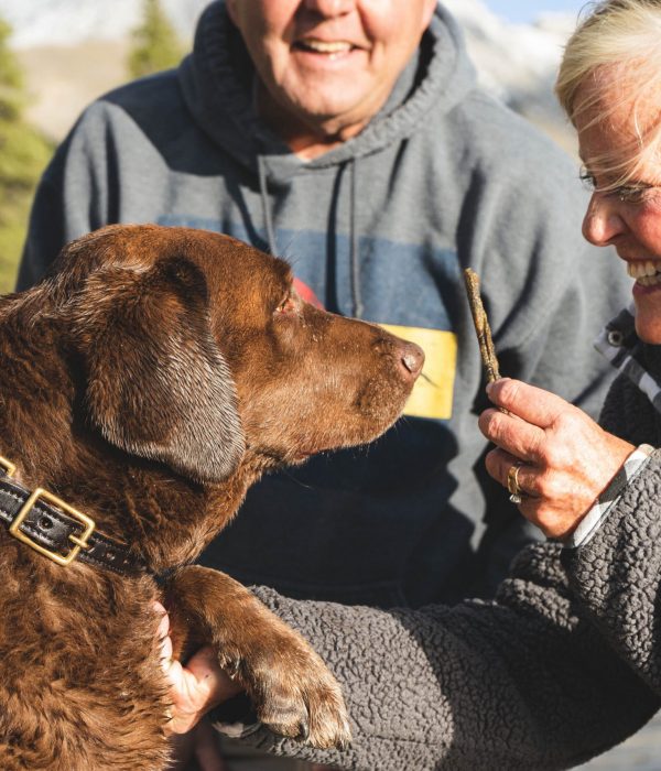 House and Land Packages - elderly couple with dog