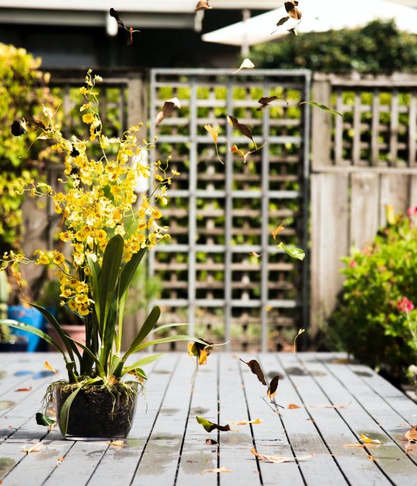 House and Land Packages Queensland - garden with deck